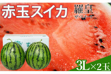 スイカ 【令和7年度出荷分】赤玉すいか（羅皇ザ・スイート）3Lサイズ×2玉 すいか 西瓜 大玉 甘い みずみずしい おすすめ 直送 農家直送 山本すいか・落花生農園 八街 八街市 旬 千葉 果物 くだもの フルーツ