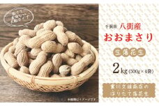 落花生 掘りたて 生落花生 「 おおまさり 」 2kg （500g×4）八街産落花生  落花生おおまさり 落花生千葉県 落花生生 新豆  先行予約 2025年産
