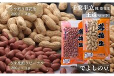 八街産 半立種 落花生 食べ比べ 600g 王道セット でよしの豆 千葉半立 さや煎り うす皮煎り 国産落花生 らっかせい ピーナツ ピーナッツ おつまみ おすすめ 人気 健康 千葉 八街 千葉県産 八街市産 国産 美味しい 菓子 ギフト やちまた