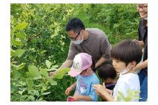 ブルーベリー狩り　利用補助券　3000円分