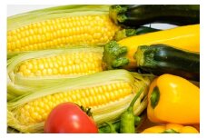 《7月にお届け》留守農場　旬の野菜詰め合わせ（5～10品目）