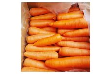 中込農園のにんじん　5kg