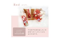 ハーバリウム手作りキット（レッド）