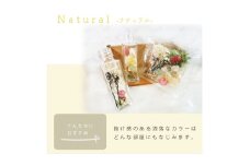 ハーバリウム手作りキット（ナチュラル）