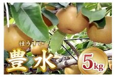 [2025年8月から発送] 印西の梨 豊水｜梨 ナシ フルーツ 果物 スイーツ 先行予約 [0426]