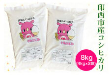 コシヒカリ 令和6年産 印西市産 美味しいごはん｜おこめ 米 こしひかり 精米 [0503]
