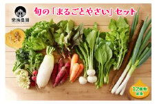柴海農園 旬の「まるごとやさい」セット (12種類前後) [0222]