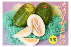 印西の特産品 パパイヤメロン 5玉｜フルーツ 果物 ギフト 旬 [0500]