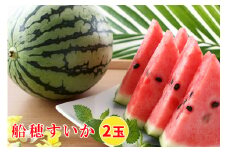 印西の特産品 船穂すいか 2玉｜スイカ フルーツ 果物 ギフト 旬 [0421]