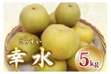 [2024年7月～発送] 印西の梨 幸水｜梨 ナシ フルーツ 果物 スイーツ 先行予約 [0427]