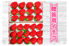 和田農園 イチゴDX｜いちご 苺 直送 デラックス 贈答 プレゼント 印西 千葉 [0487]