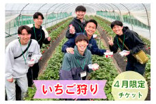 和田農園 4月限定 いちご狩りチケット｜いちご 苺 体験 食べ放題 時間無制限 印西 千葉 [0489]