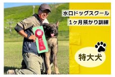 水口ドッグスクール 1ヶ月預かり訓練 (特大犬)｜犬 しつけ レッスン トレーニング 長期 合宿 お泊り 競技 飼い主 印西 千葉 [0505]