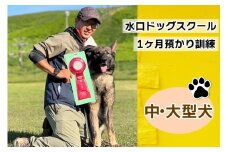 水口ドッグスクール 1ヶ月預かり訓練 (中・大型犬)｜犬 しつけ レッスン トレーニング 長期 合宿 お泊り 競技 飼い主 印西 千葉 [0506]