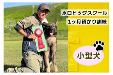 水口ドッグスクール 1ヶ月預かり訓練 (小型犬)｜犬 しつけ レッスン トレーニング 長期 合宿 お泊り 競技 飼い主 印西 千葉 [0507]