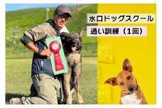 水口ドッグスクール 通い訓練 (1回)｜犬 しつけ レッスン トレーニング 競技 飼い主 印西 千葉 [0508]