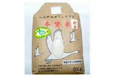 白鳥の郷 本埜米 (こしひかり) 令7年産 8kg｜おこめ コシヒカリ 産地 直送 千葉 印西 [0517]