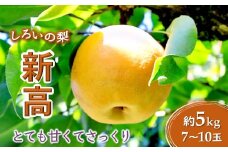 梨 新高 5kg 7～10玉 予約受付 しろいの梨 農産物直売所やおぱぁく