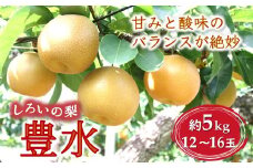 【8/6まで受付】しろいの梨 豊水 5kg 12～16玉 たっぷり果汁 予約受付  白井中央梨選果場組合