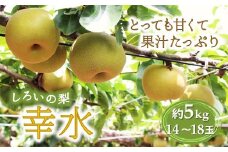 しろいの梨 幸水 5kg 14～18玉