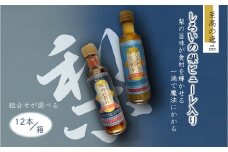 ノンオイルドレッシング 焼肉のたれ 白井市産梨ピューレ入り 12本セット（ドレッシング2本、焼肉のたれ10本）