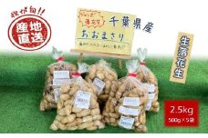 【今秋収穫分予約受付】落花生 おおまさり 2.5kg 殻付き 生落花生