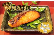 銀鮭 粕漬け 切り身 70g×6切 骨取り【準備が出来次第発送】