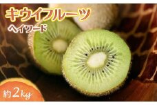 しろいのキウイ 約2kg ヘイワード 15～17個 【11月下旬から発送】