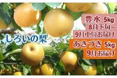 【8/6まで受付】しろいの梨２品種セット 豊水 あきづき 各5kg 予約受付