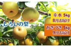 【7/22まで受付】しろいの梨２品種セット 幸水 あきづき 各5kg 予約受付