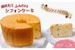 ふわふわしっとり手作りのシフォンケーキです