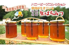ハニービーズコレクション“しろいの季節”のはちみつ 170g 国産純粋生はちみつ