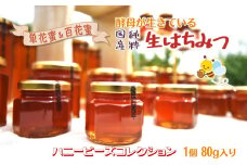 ハニービーズコレクション“しろいの季節”のはちみつ 80g 国産純粋生はちみつ