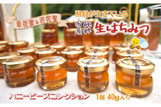 ハニービーズコレクション“しろいの季節”のはちみつ 40g 国産純粋生はちみつ お試しサイズ