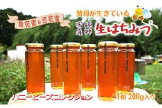 ハニービーズコレクション“しろいの季節”のはちみつ 200g 国産純粋生はちみつ
