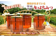 ハニービーズコレクション“しろいの季節”のはちみつ 250g 国産純粋生はちみつ