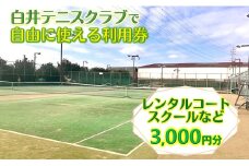 白井テニスクラブ利用券 3,000円分 レンタルテニスコート＆スクール対応