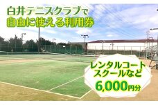 白井テニスクラブ利用券 6,000円分 レンタルテニスコート＆スクール対応