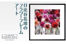 日比谷花壇のフラワーフレームアート Metropolitan Dahlias（メトロポリタンのダリア） ソフケン アルミフレーム 25x25cm