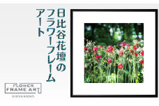 日比谷花壇のフラワーフレームアート Sunlit Bloom（陽光満開） ソフケン アルミフレーム 25x25cm