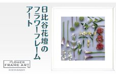 日比谷花壇のフラワーフレームアート Linear Flora Array（直線的な花の配列） ソフケン アルミフレーム 25x25cm