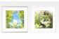 （左）Sunshine Meadow Blossoms　（右）Luxuriant Verdure Vision