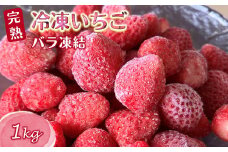 冷凍いちご 1kg バラ凍結 栽培期間中農薬不使用 ヘタ取り済み 急速低温冷凍 真空パック