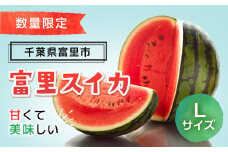【期間延長！7月16日まで受付！】富里スイカ(Lサイズ6～7kg)1玉  すいか スイカ 西瓜 千葉県 富里市 果物 フルーツ 採れたて とれたて 産地直送 農家直送 千葉県産 ちば 千葉すいか 千葉スイカ 富里 富里すいか 富里スイカ 甘い あまい 美味しい おいしい 大玉 大玉すいか 大玉スイカ TMF005 