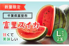 【期間延長！7月16日まで受付！】富里スイカ(Lサイズ6～7kg)2玉  すいか スイカ 西瓜 千葉県 富里市 果物 フルーツ 採れたて とれたて 産地直送 農家直送 千葉県産 ちば 千葉すいか 千葉スイカ 富里 富里すいか 富里スイカ 甘い あまい 美味しい おいしい 大玉 大玉すいか 大玉スイカ TMF006