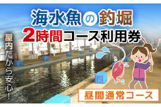 屋内型 海水魚の釣堀2時間コース利用券（昼間通常コース）/ ふるさと納税 利用券 チケット 釣り フィッシング 釣り堀 釣堀 海水魚 屋内 2時間 コリュッシュ Ko-Lish ちば 千葉県産とみさと 富里 富里市 TMW001