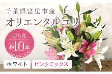 富里市産　オリエンタルユリ切り花（ホワイト・ピンクミックス）約10本 TMG001 / ふるさと納税 オリエンタルユリ おりえんたるゆり ユリ ゆり 花 はな 切り花 きりばな 送料無料  千葉県 富里市  