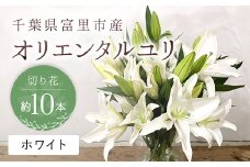 富里市産　オリエンタルユリ切り花（ホワイト）約10本 TMG002 / ふるさと納税 オリエンタルユリ おりえんたるゆり ユリ ゆり 花 はな 切り花 きりばな 送料無料  千葉県 富里市  