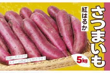 さつまいも５㎏（紅はるか） TMF003 / さつまいも サツマイモ さつま芋 薩摩芋 べにはるか ベニハルカ 紅はるか 紅ハルカ 5kg おさつ あまい 甘い 甘味 しっとり 糖度 スイーツ スイート ポテト おやつ 熟成 千葉県 富里市 産地直送 千葉産 千葉県産