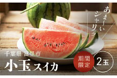 【2025年5月上旬より順次配送】富里産　小玉スイカ 2玉 【 ふるさと納税 人気 おすすめ ランキング すいか スイカ 西瓜 果物 フルーツ 採れたて 産地直送 千葉県 富里市 送料無料 】TME008